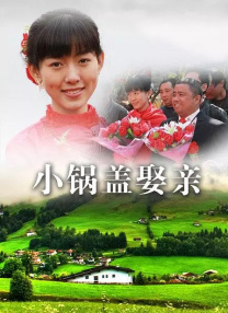 一夜七次狼在线